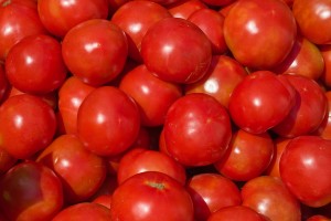 Tomato