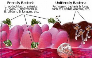 Good and bad bacteria