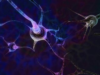 Interconnecting Brain Cells