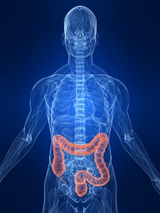 bigstock_Highlighted_Colon_3730501