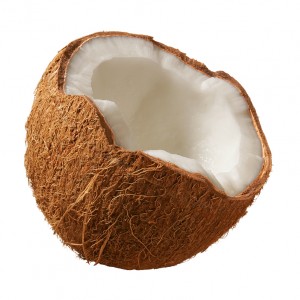 coconut