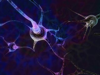Interconnecting Brain Cells