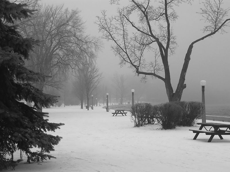 Bigstock_Winter_Gloom_264957