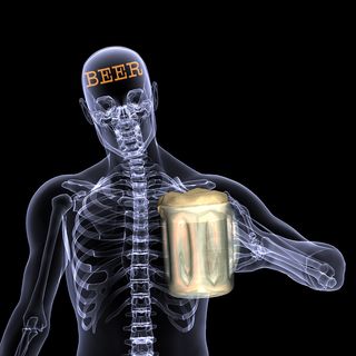 Bigstockphoto_Skeleton_X-Ray_-_Beer_1356083