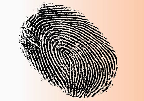 Bigstock_Detailed_Fingerprint_4725801