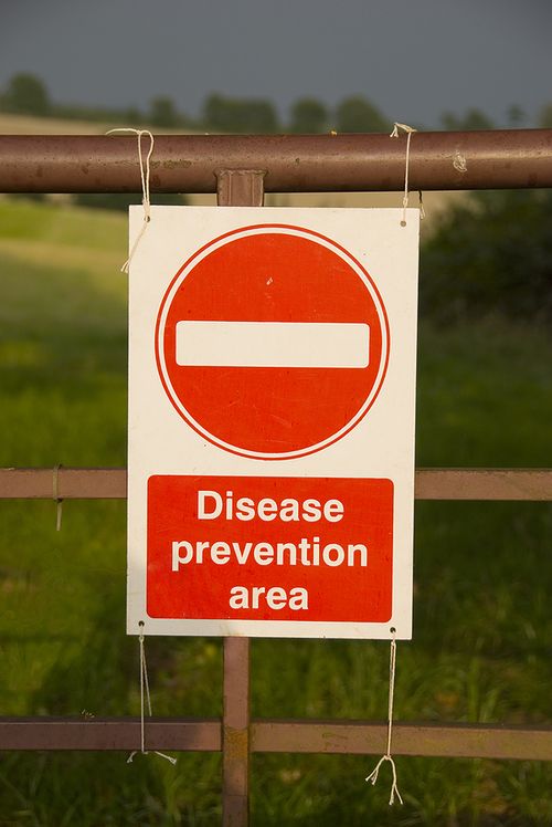 Bigstock_Disease_Prevention_Sign_2058141