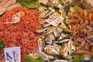 Bigstock_Fresh_Seafood_2456729