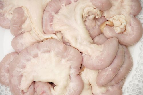 Bigstock_Fresh_Cow_Guts_6971056